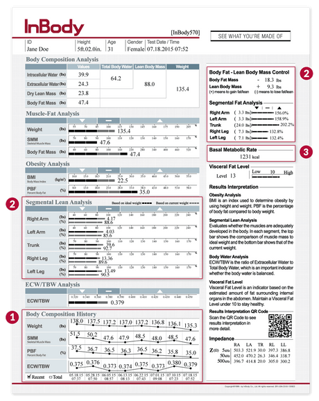 In Body 570 Body Analysis